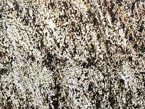 SKINROCK<sup>®</sup> Copper Natural – Translucent</br>Quartzite/Cleft Finish