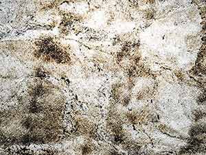 SKINROCK<sup>®</sup> Shining Tree – Translucent</br>Quartzite/Cleft Finish