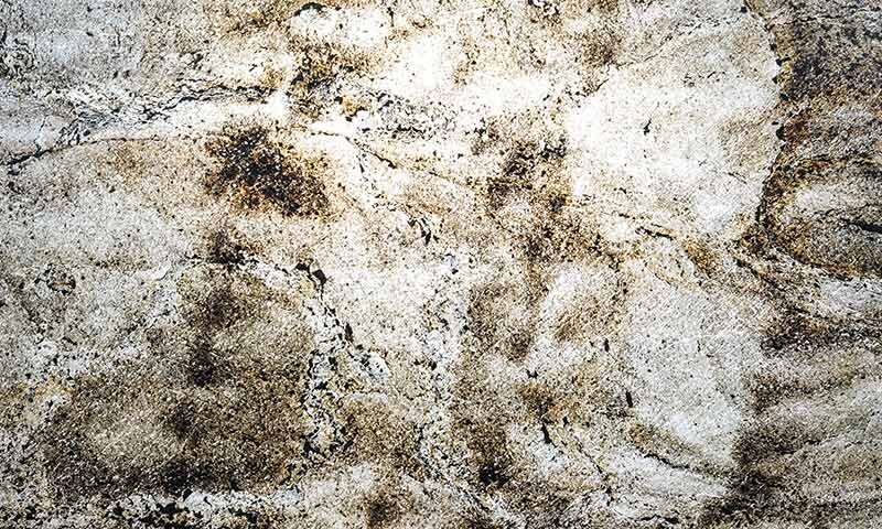 SKINROCK<sup>®</sup> Shining Tree – Translucent</br>Quartzite/Cleft Finish